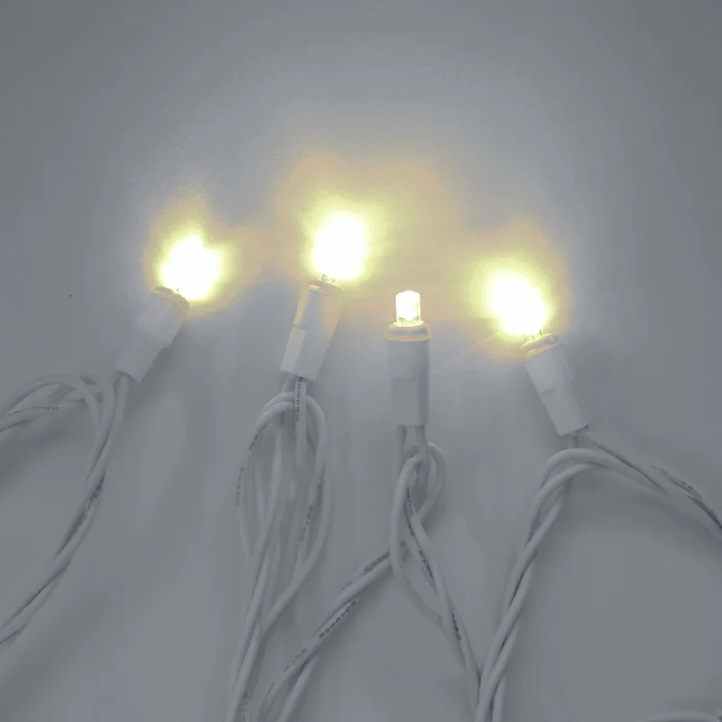 Waterproof String Lights for Patio Decor10 Indoor LED Mini String Lights, 8.35 FT White Cord