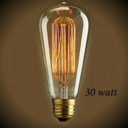 Retro Edison filament light bulbsEdison Bulb - 30 Watt - 5.5 in. Length - Squirrel Cage Filament - Clear Retro Edison filament light bulbsEdison Bulb - 30 Watt - 5.5 in. Length - Squirrel Cage Filament - Clear