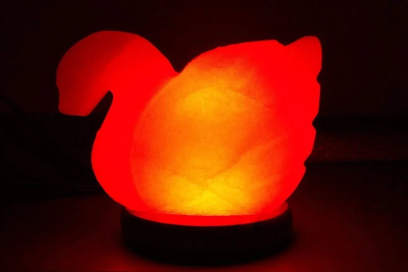 Salt Lamps for Spa - Inspired Bathroom DecorAnimal Shaped Lamp