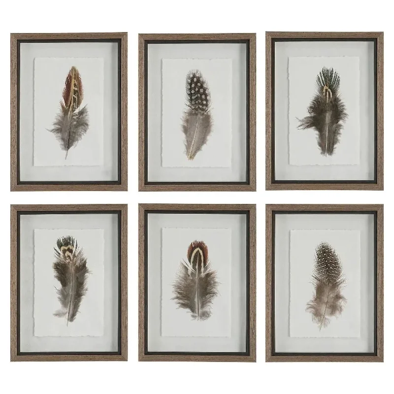 Birds Of A Feather Framed Prints, S/6