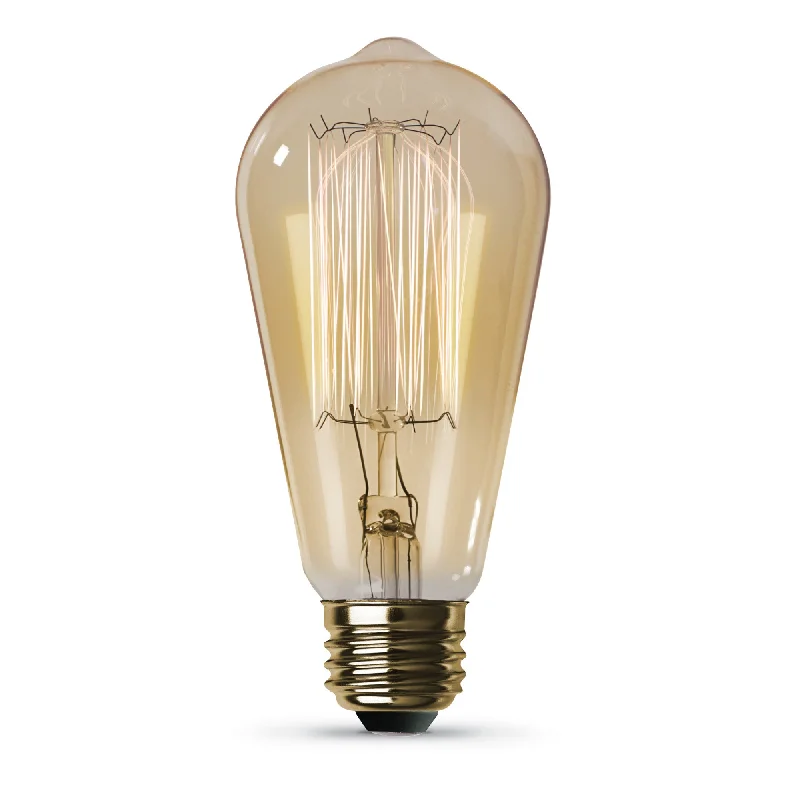 Vintage inspired LED Edison light bulbs60W Replacement ST19 E26 Dimmable Cage Filament Amber Glass Vintage Edison Incandescent Light Bulb, Warm White (6-Pack) Vintage inspired LED Edison light bulbs60W Replacement ST19 E26 Dimmable Cage Filament Amber Glass Vintage Edison Incandescent Light Bulb, Warm White (6-Pack)