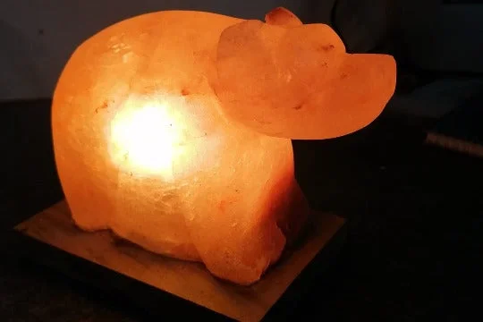 Battery - Operated Salt Lamps for Portable UseDog shape Himalayan salt lamp