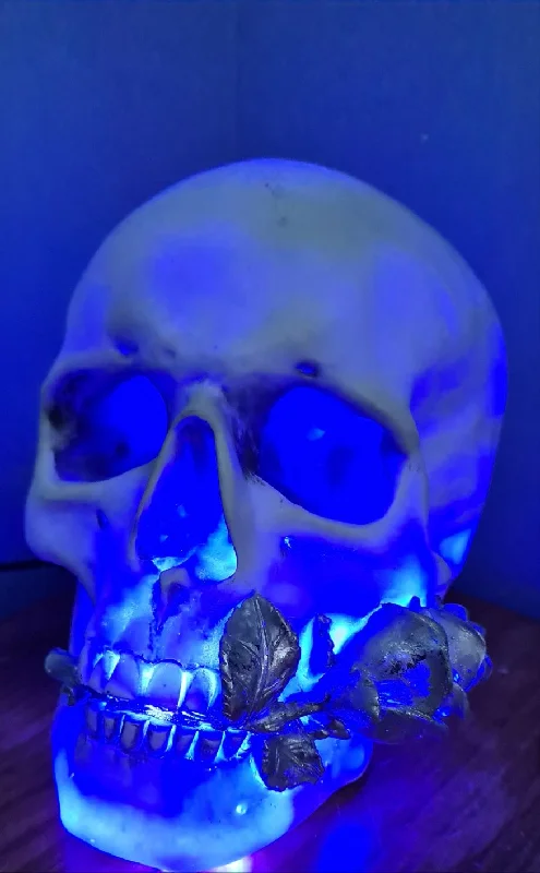 Lava Lamps for Italian Restaurants to Enhance the RomanceLARGE WHITE SILVER ROSE COLOUR CHANGING SKULL LAMP -made by me Lava Lamps for Italian Restaurants to Enhance the RomanceLARGE WHITE SILVER ROSE COLOUR CHANGING SKULL LAMP -made by me