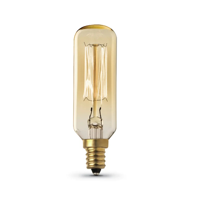 Frosted glass Edison light bulbs40W Replacement T8 E12 Dimmable Filament Amber Glass Vintage Edison Incandescent Light Bulb, Soft White (2-Pack) Frosted glass Edison light bulbs40W Replacement T8 E12 Dimmable Filament Amber Glass Vintage Edison Incandescent Light Bulb, Soft White (2-Pack)