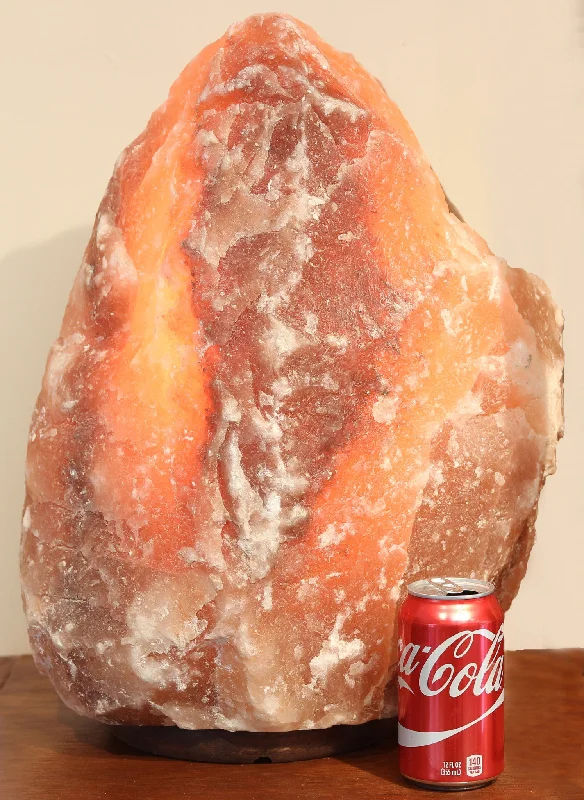 Large Salt Lamps for Living Room CentrepieceIndusClassic® IC-Lg-04 Natural Himalayan Crystal Rock Salt Lamp Ionizer Air Purifier 105~115 lbs Large Salt Lamps for Living Room CentrepieceIndusClassic® IC-Lg-04 Natural Himalayan Crystal Rock Salt Lamp Ionizer Air Purifier 105~115 lbs