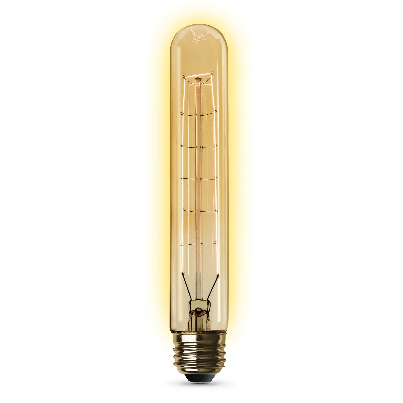 Edison light bulbs with decorative filaments60W Replacement T10 E26 Dimmable Filament Amber Glass Vintage Edison Incandescent Light Bulb, Soft White Edison light bulbs with decorative filaments60W Replacement T10 E26 Dimmable Filament Amber Glass Vintage Edison Incandescent Light Bulb, Soft White