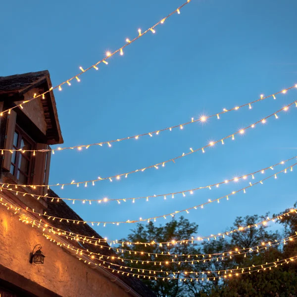 String Lights for Seasonal Decorations (Spring, Fall, etc.)10m 100 Warm White Plug In Fairy Lights Clear Cable