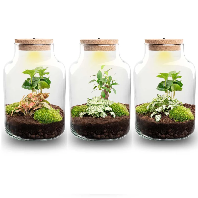 Color - Changing LED String Lights for Christmas DecorTerrarium DIY Kit - Little Milky + Led light - ↑ 25 cm Color - Changing LED String Lights for Christmas DecorTerrarium DIY Kit - Little Milky + Led light - ↑ 25 cm