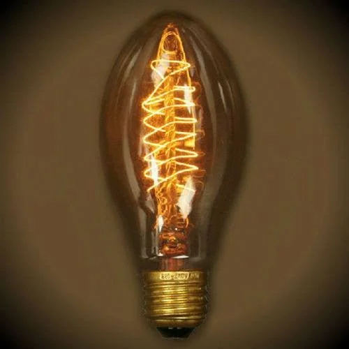 Mercury glass Edison light bulbsEdison Bullet Vintage Bulb - 40 Watt - 6.5 in. length - Clear