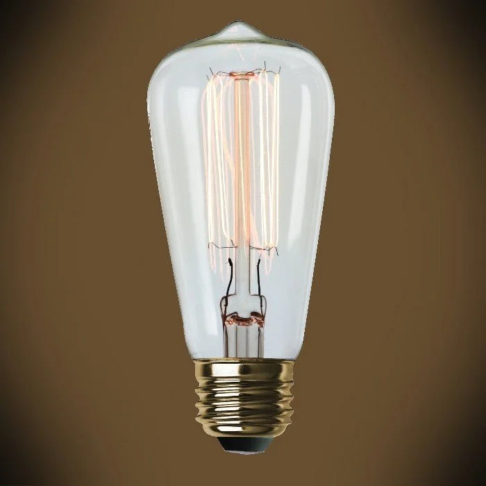 Squirrel cage filament Edison light bulbsEdison Bulb - 60 Watt - 4.3 In. Length - Squirrel Cage Filament - Clear Squirrel cage filament Edison light bulbsEdison Bulb - 60 Watt - 4.3 In. Length - Squirrel Cage Filament - Clear