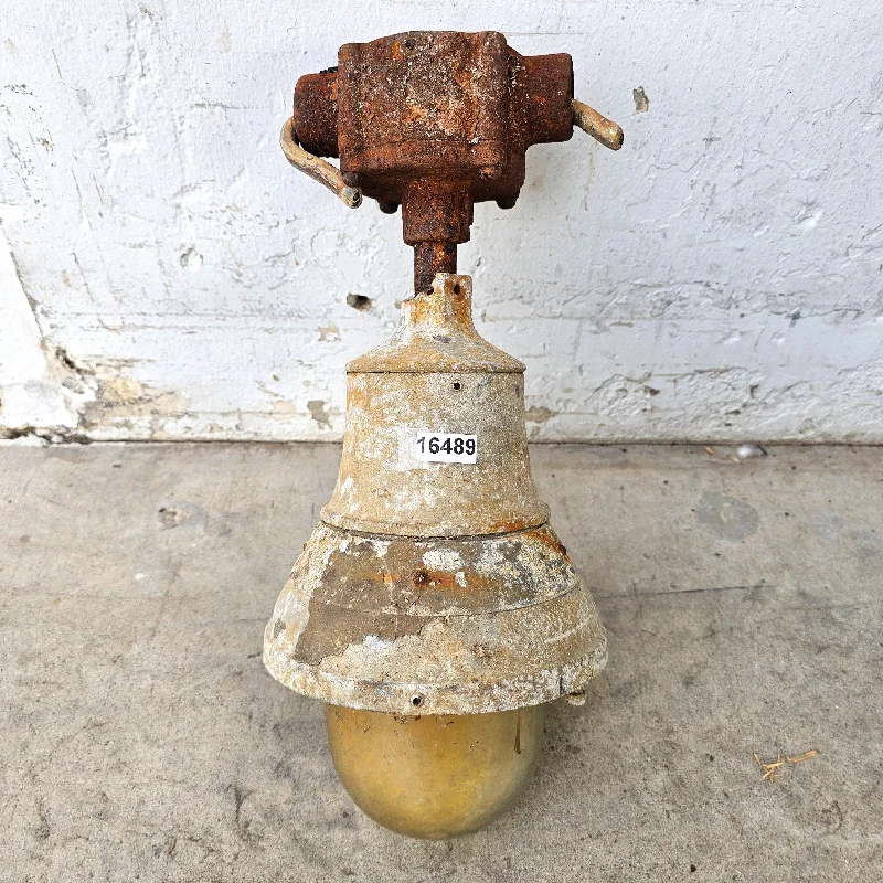 Industrial Wall - Mounted Lighting for Workshop Walls"Explosion Proof" Pendant Light Industrial Wall - Mounted Lighting for Workshop Walls"Explosion Proof" Pendant Light