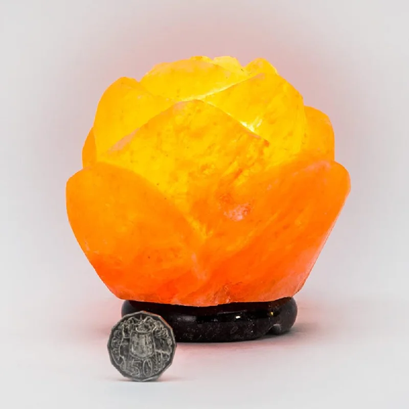 Small Salt Lamps for Desk and NightstandScarlet Rose Himalayan Salt Lamp