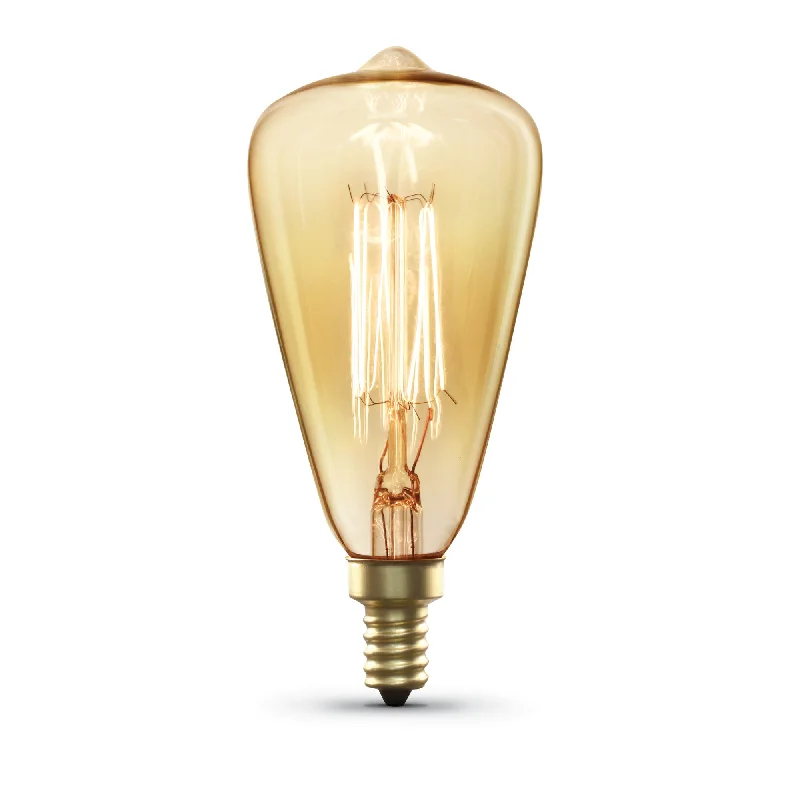 Edison light bulbs for DIY projects60W Replacement ST15 E12 Dimmable Filament Amber Glass Vintage Edison Incandescent Light Bulb, Warm White Edison light bulbs for DIY projects60W Replacement ST15 E12 Dimmable Filament Amber Glass Vintage Edison Incandescent Light Bulb, Warm White