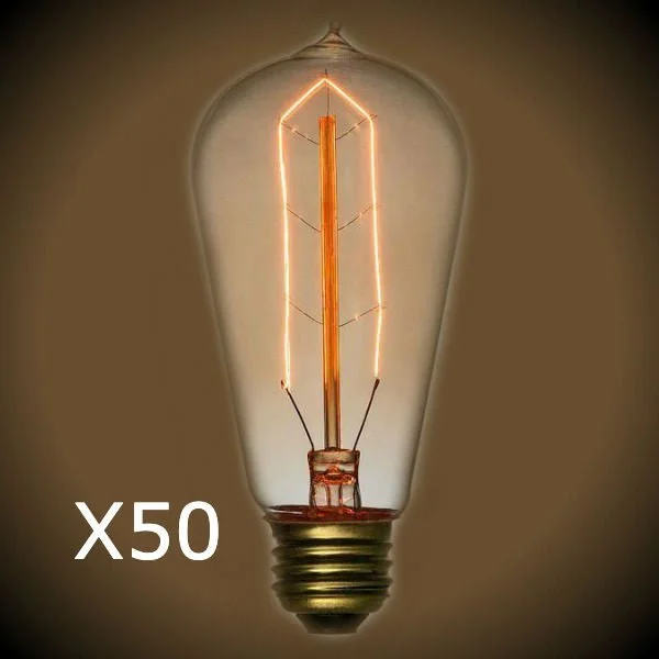 Squirrel cage filament Edison light bulbsNostalgic Edison Hairpin Light Bulb - 40 Watt - 50 Bulb Pack Squirrel cage filament Edison light bulbsNostalgic Edison Hairpin Light Bulb - 40 Watt - 50 Bulb Pack