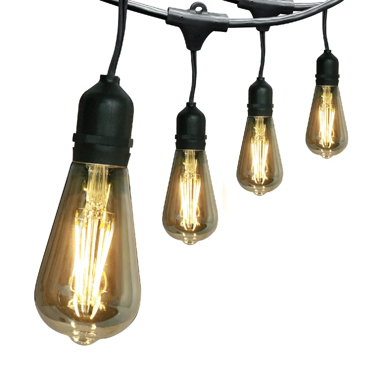 LED String Lights with Warm White Glow30 ft. LED String Lights with Filament ST19 bulbs