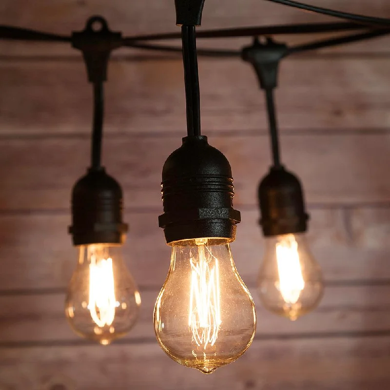 Edison style vintage light bulbsCLOSEOUT 10 Suspended Socket Vintage Outdoor Commercial String Light Set, PS50 Edison Light Bulbs, 21 FT Black Cord w/ E26, 11W, Weatherproof Edison style vintage light bulbsCLOSEOUT 10 Suspended Socket Vintage Outdoor Commercial String Light Set, PS50 Edison Light Bulbs, 21 FT Black Cord w/ E26, 11W, Weatherproof