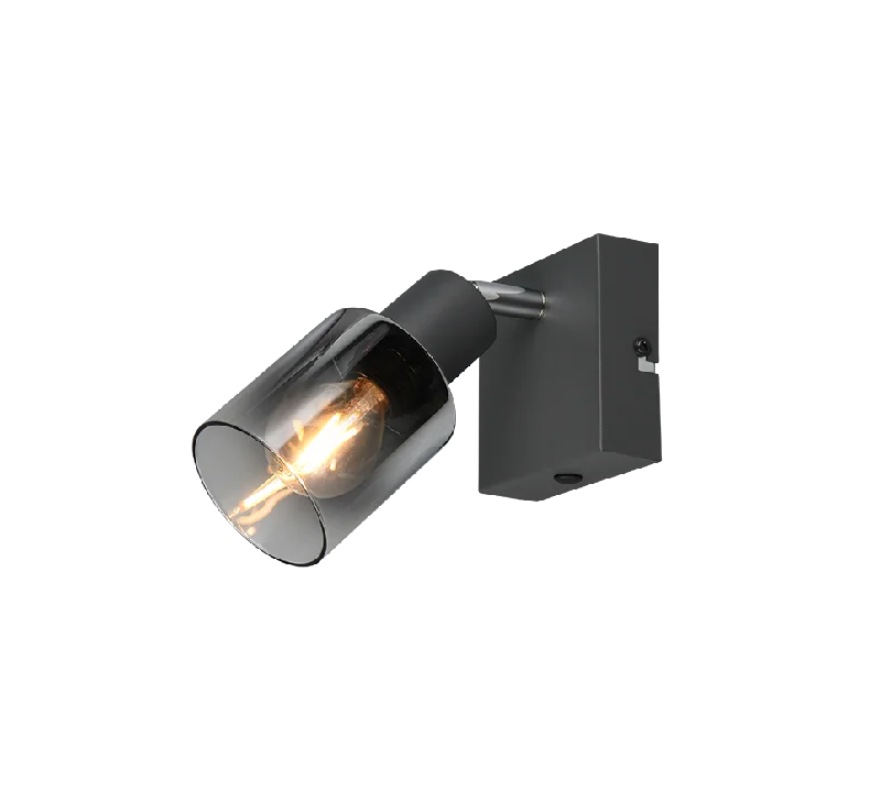 Cadiz Wall/Ceiling Spotlight - Anthracite