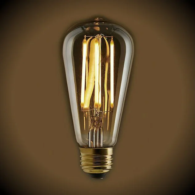 Frosted glass Edison light bulbsLED Filament Edison Light Bulb - ST19 Vintage - 5 Watt - Amber - 2200K Frosted glass Edison light bulbsLED Filament Edison Light Bulb - ST19 Vintage - 5 Watt - Amber - 2200K