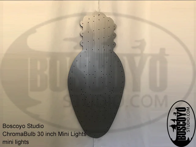 String Lights with Clear Bulbs for a Classic LookChromaBulb 30" Minilights