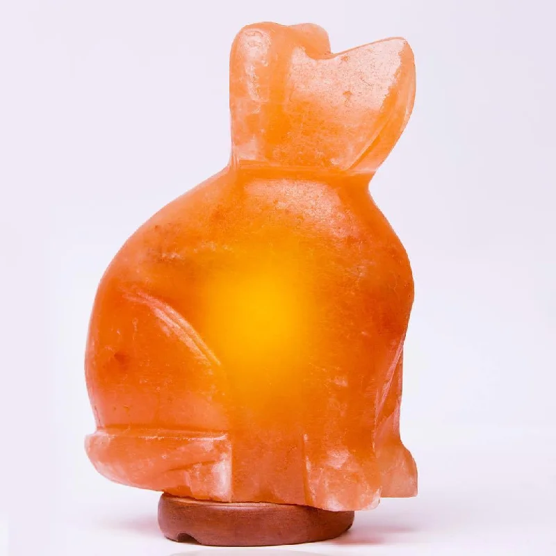 Salt Lamps for Pet - Friendly EnvironmentsDog Himalayan Salt Lamp