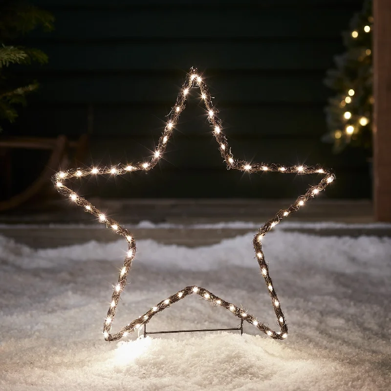 Solar - Powered String Lights for Energy - Saving Backyards2 Willow Star Stake Lights