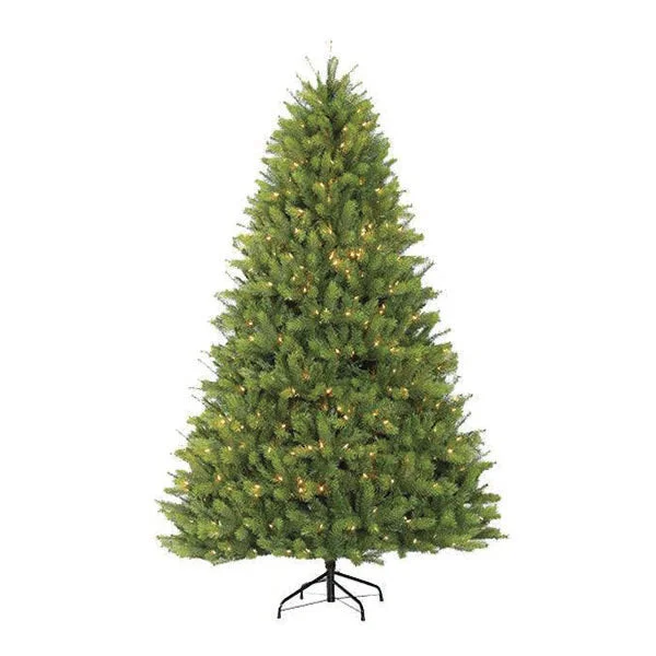 String Lights for Wedding ReceptionsMontauk Fir Warm White LED Lights 6 Ft.