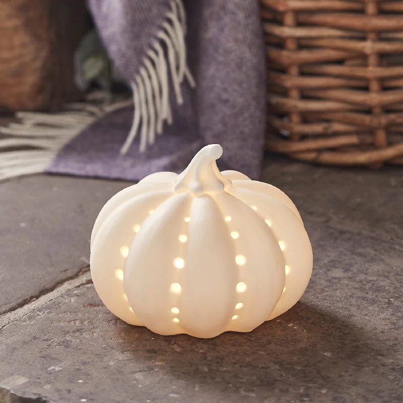 LED String Lights with Warm White GlowCeramic Pumpkin Light