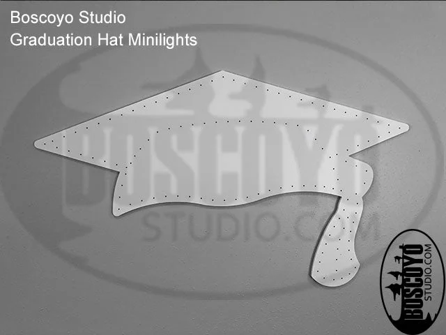 String Lights for Nursery Room DecorGraduation Hat Minilights