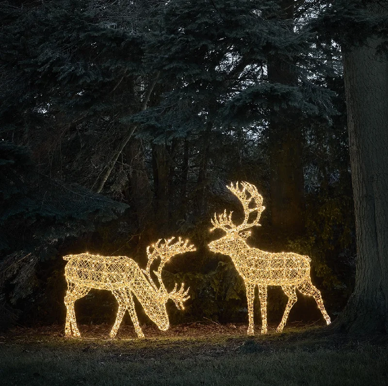 Waterproof String Lights for Patio Decor1.8m XL Arkendale Stag LED Light Up Reindeer Duo