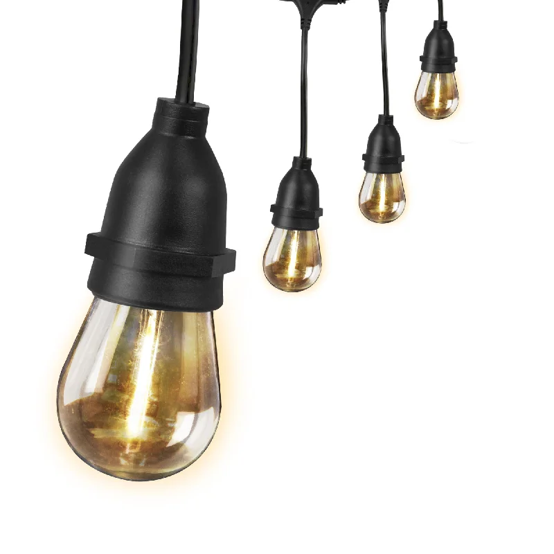 String Lights for Nursery Room Decor20 Ft. LED S14 String Lights