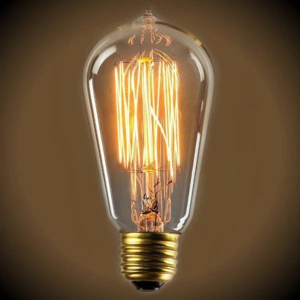 Outdoor rated Edison light bulbsEdison Bulb - 40 Watt - 4.95 In. Length - Squirrel Cage Filament - Clear