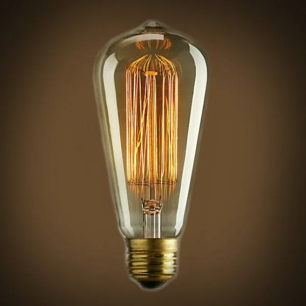 Frosted glass Edison light bulbsEdison Bulb - 60 Watt - 5.5 In. Length - Squirrel Cage Filament - Amber Frosted glass Edison light bulbsEdison Bulb - 60 Watt - 5.5 In. Length - Squirrel Cage Filament - Amber