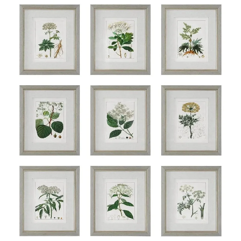 Antique Framed Prints, S/9