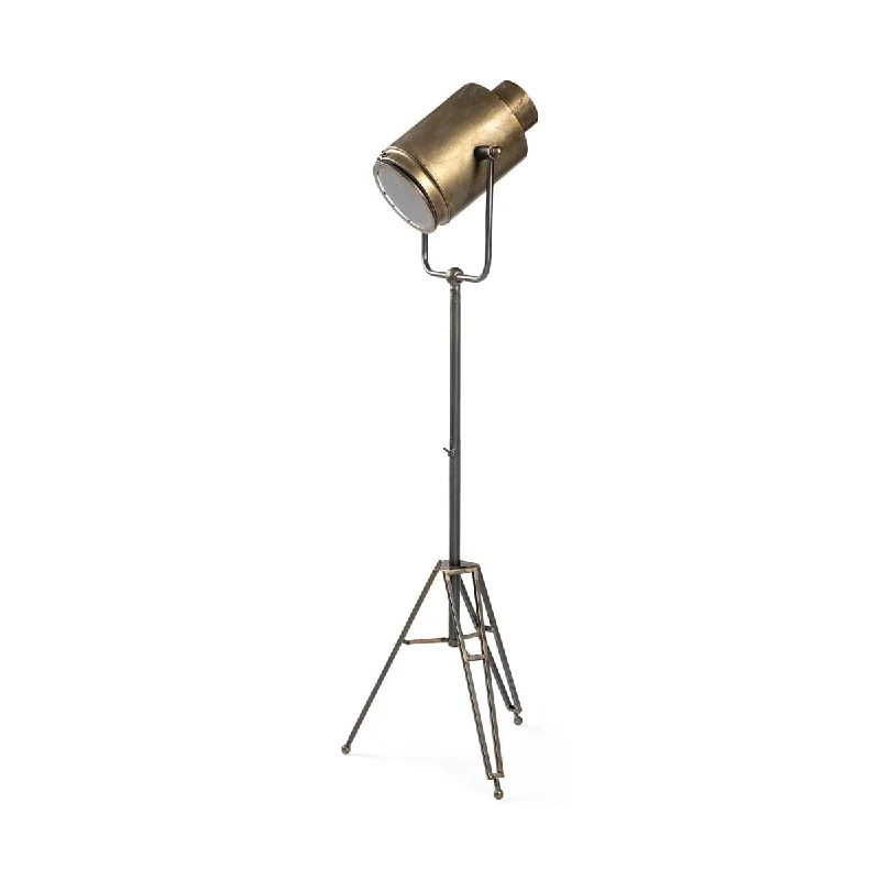 Modern Minimalist Floor Lamp for Contemporary Living RoomsDebdou Floor Lamp Gold Metal Modern Minimalist Floor Lamp for Contemporary Living RoomsDebdou Floor Lamp Gold Metal