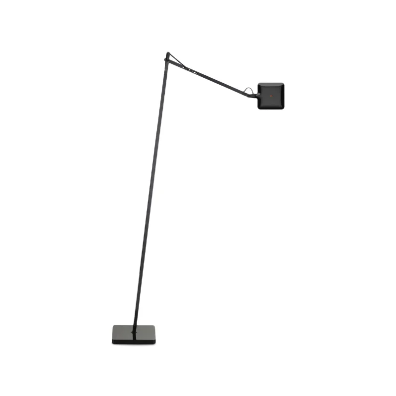 Rustic Farmhouse Style Floor Lamp for Cozy BedroomsKelvin LED Floor Lamp - Black